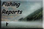 view fishing reports on Oregon rivers
